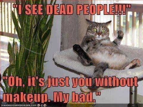 cat I see dead people.jpg